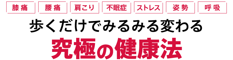 歩くだけでみるみる変わる究極の健康法